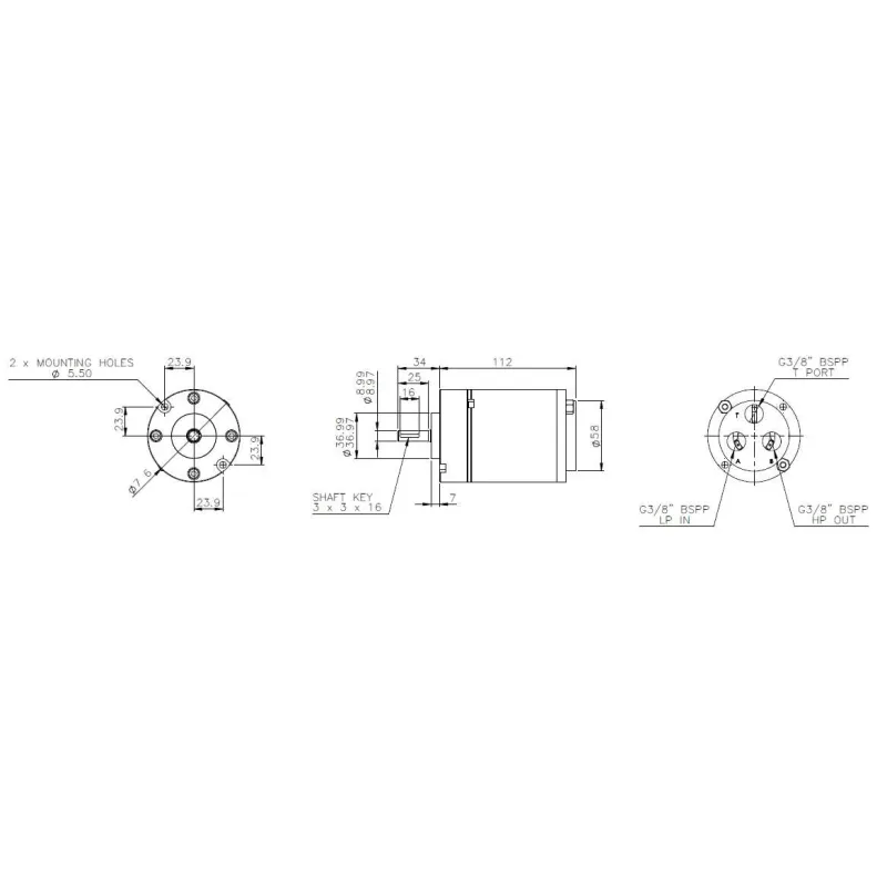 Janus Desalination Pump P6