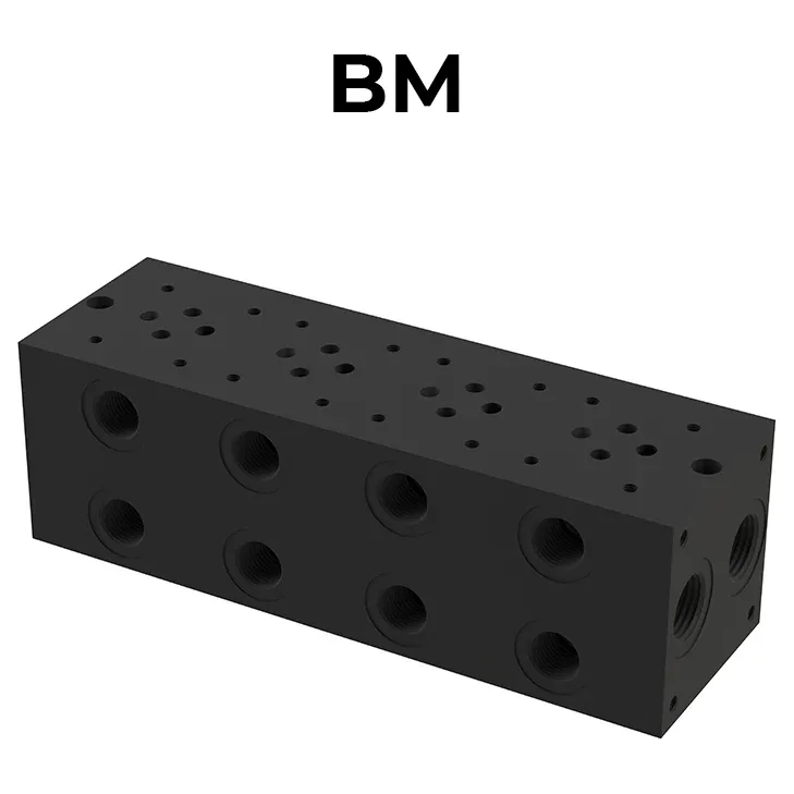 BM Parallel Multiple Manifolds (without Relief Valve)