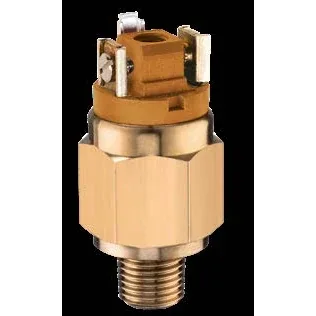 37-37V Vacuum Switch ≤250V