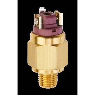 31-31V Diaphragm Pressure Switch ≤250V