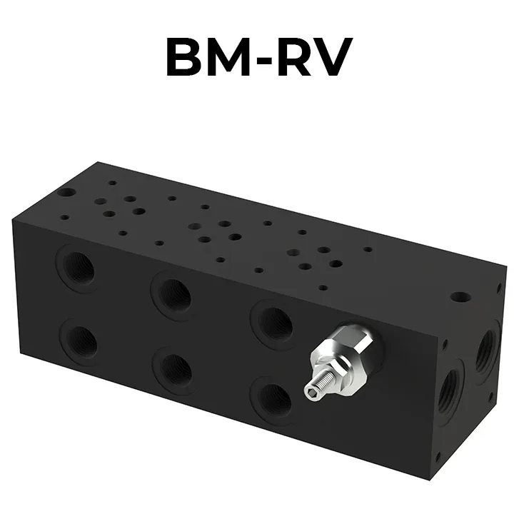 BM-RV Parallel Multiple Manifolds (with Relief Valve)