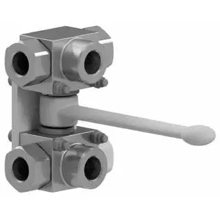 Tandem Combination Valve